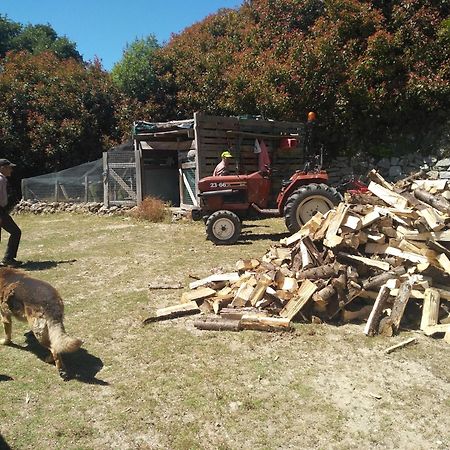 Chale Pouso Da Serra - Casas De Montanha Costilhao Kültér fotó